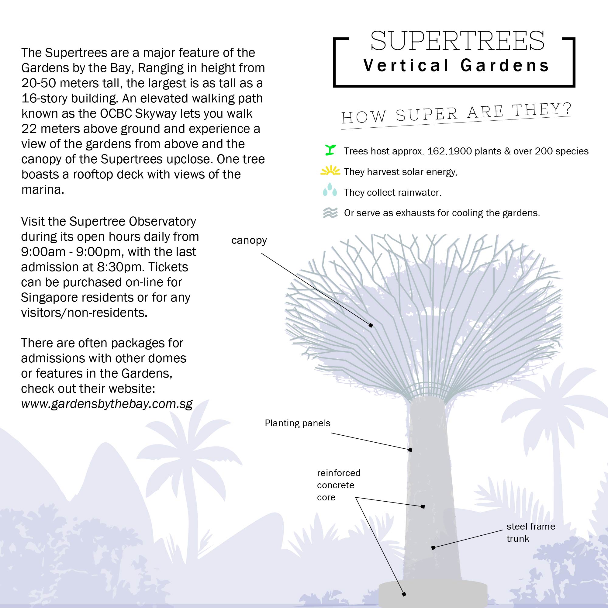 infographic on singapore